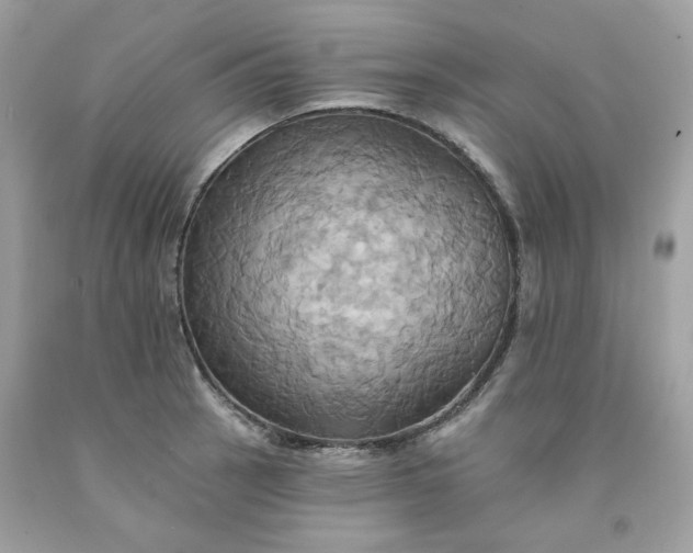 X0000091581137200709051055