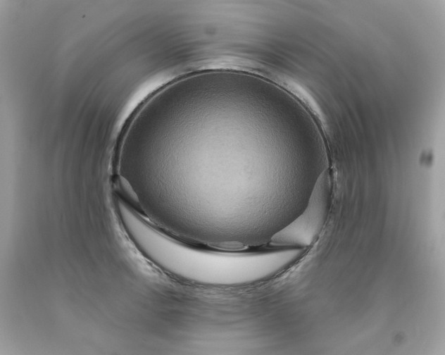 X0000091581138200709051055