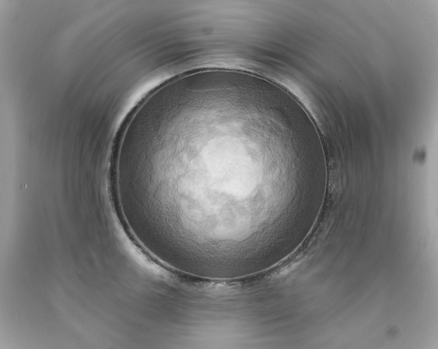 X0000091581139200709051055