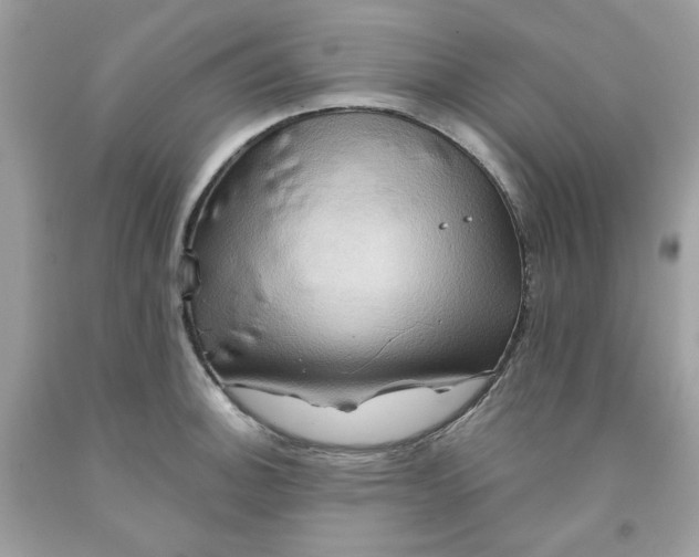 X0000091581140200709051055