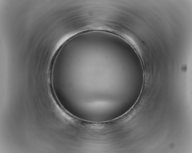 X0000091581141200709051055