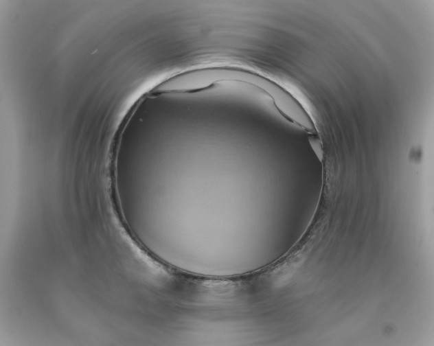 X0000091581142200709051055