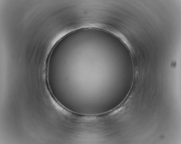 X0000091581143200709051055