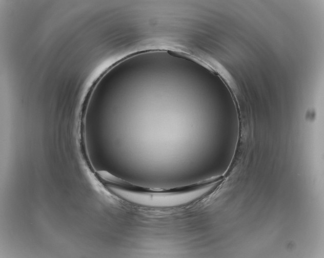 X0000091581144200709051055