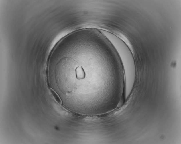 X0000091581146200709051055