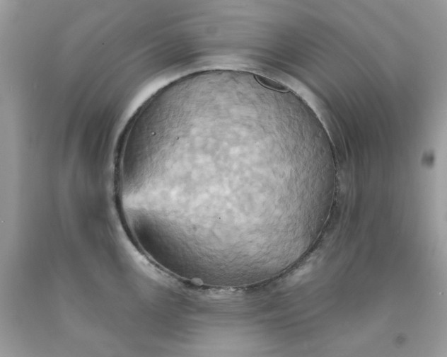 X0000091581147200709051055