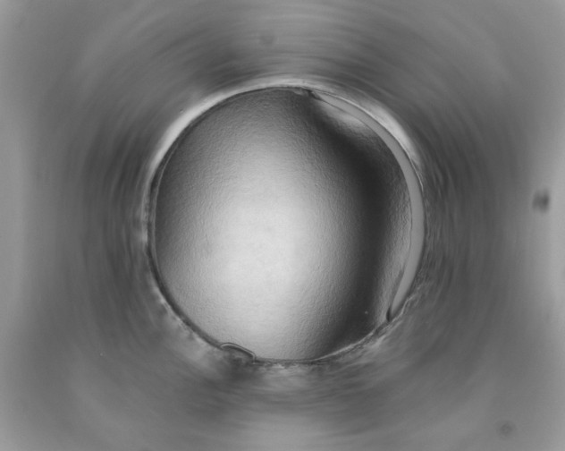 X0000091581148200709051055