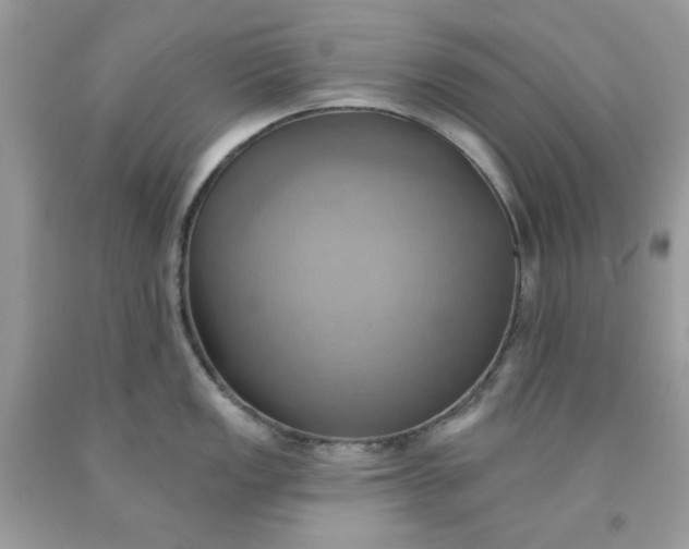 X0000091581149200709051055