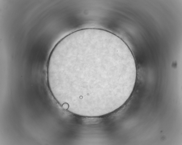 X0000091581150200709051055