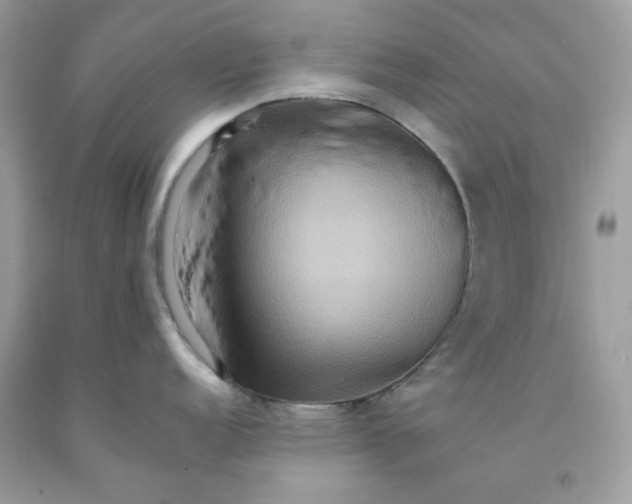 X0000091581152200709051055