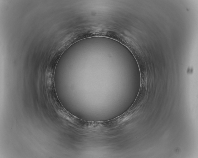 X0000091581154200709051054