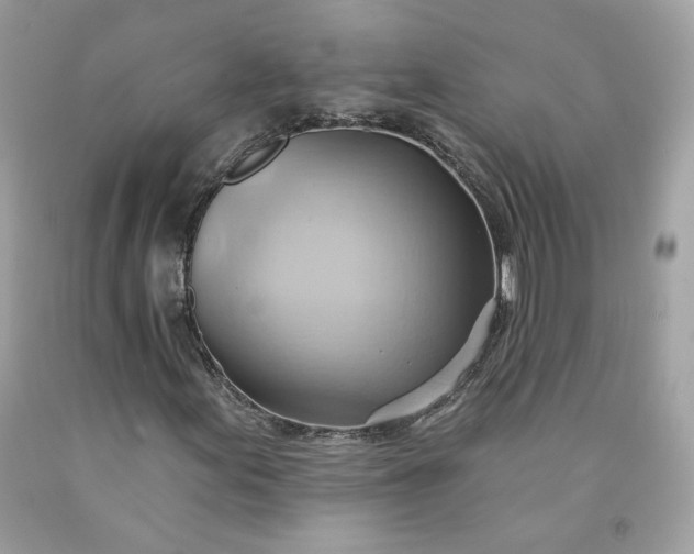 X0000091581155200709051054