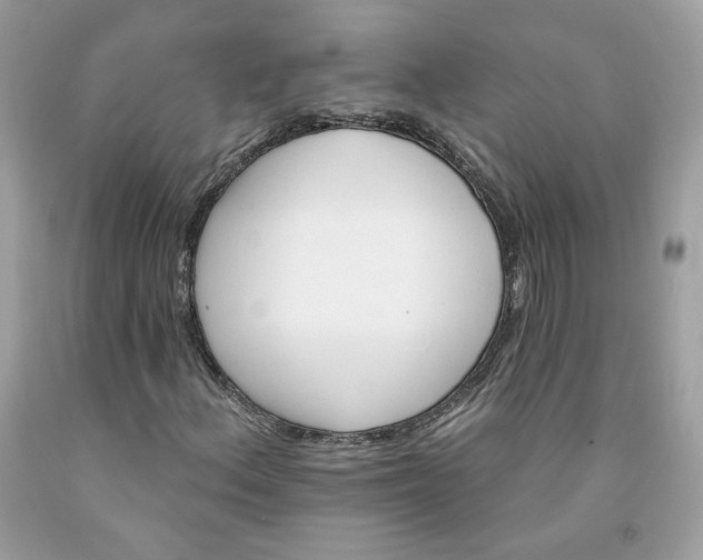 X0000091581156200709051054