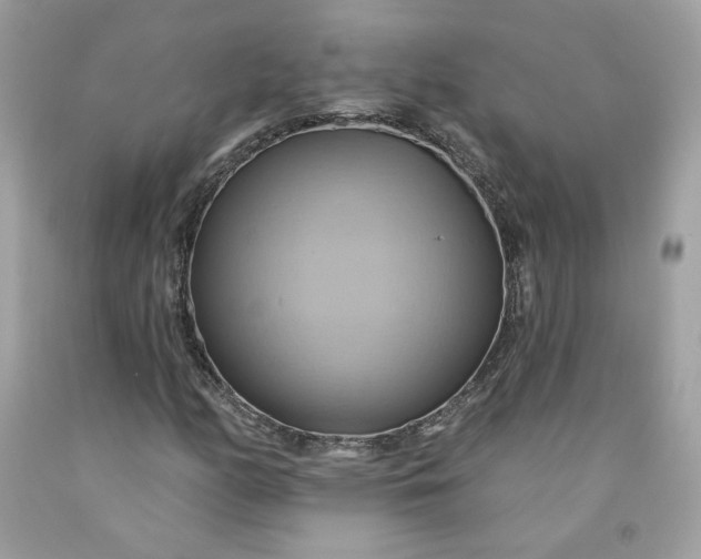 X0000091581158200709051054