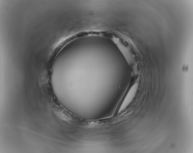 X0000091581160200709051054