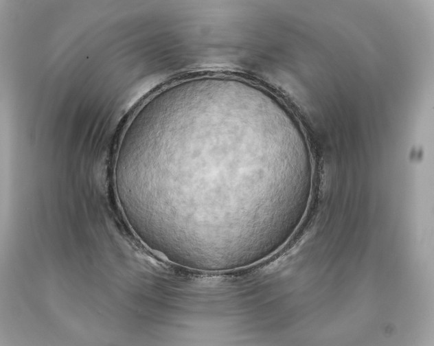 X0000091581162200709051054