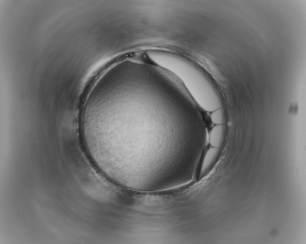 X0000091581164200709051054