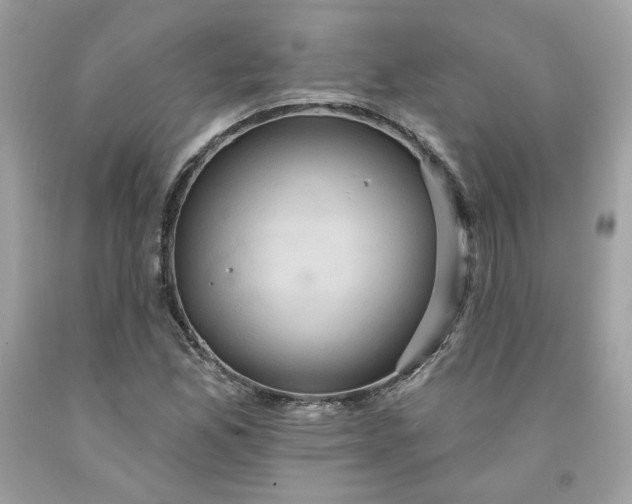 X0000091581165200709051054