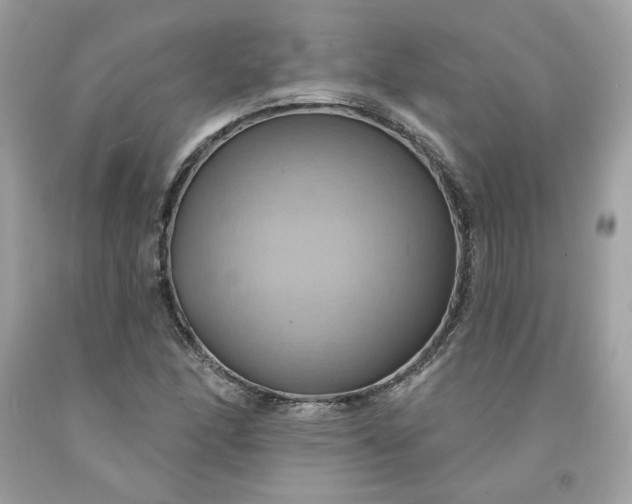 X0000091581166200709051054