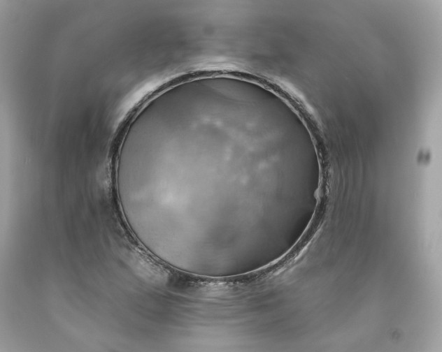 X0000091581167200709051054