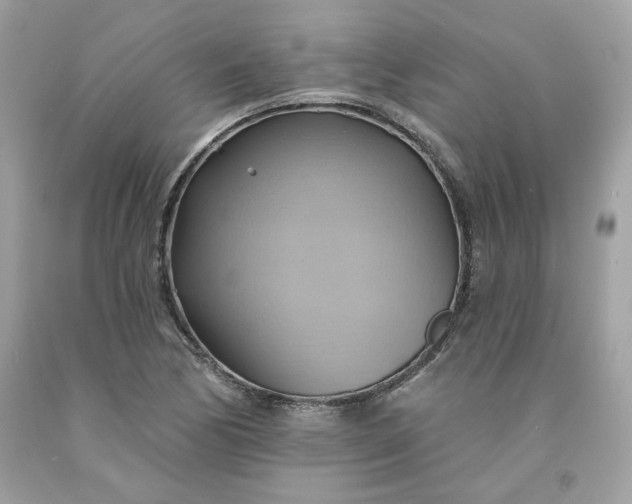 X0000091581170200709051054