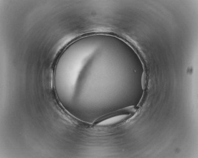 X0000091581171200709051054