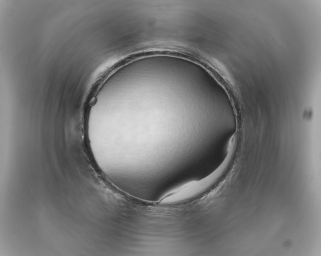 X0000091581172200709051054