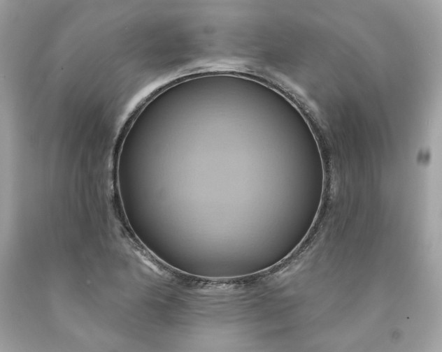 X0000091581174200709051054