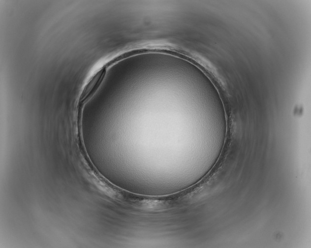 X0000091581176200709051054