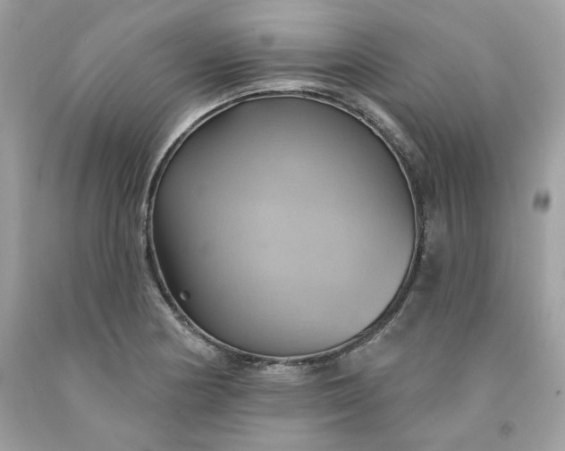 X0000091581178200709051054