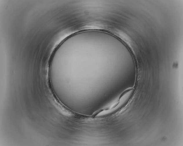 X0000091581179200709051054