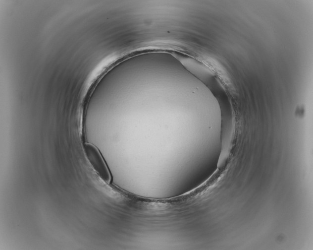 X0000091581180200709051054