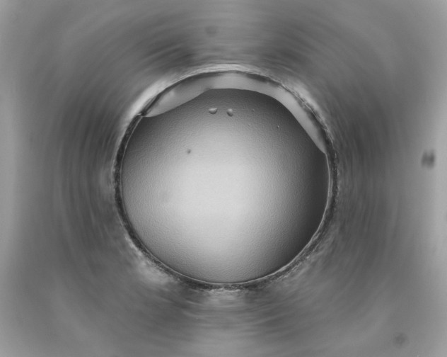 X0000091581181200709051054