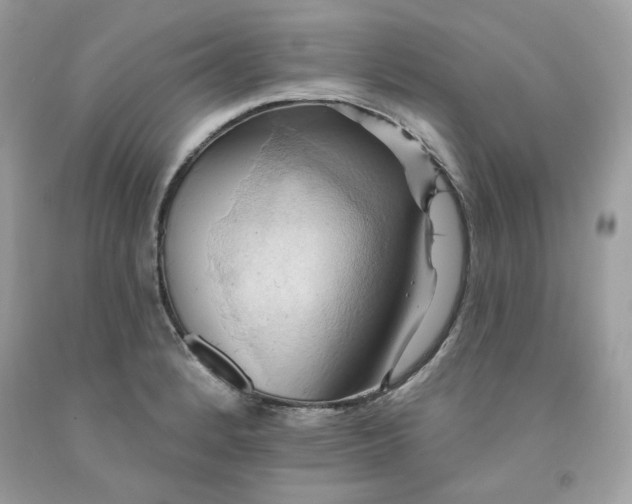 X0000091581184200709051054