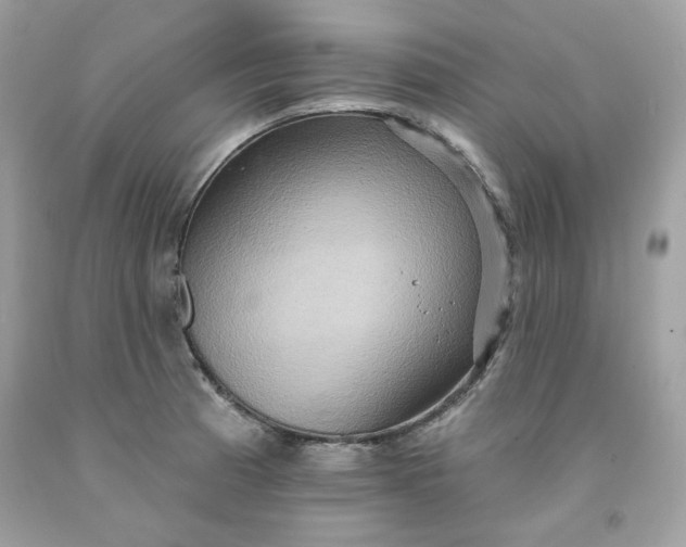 X0000091581185200709051054