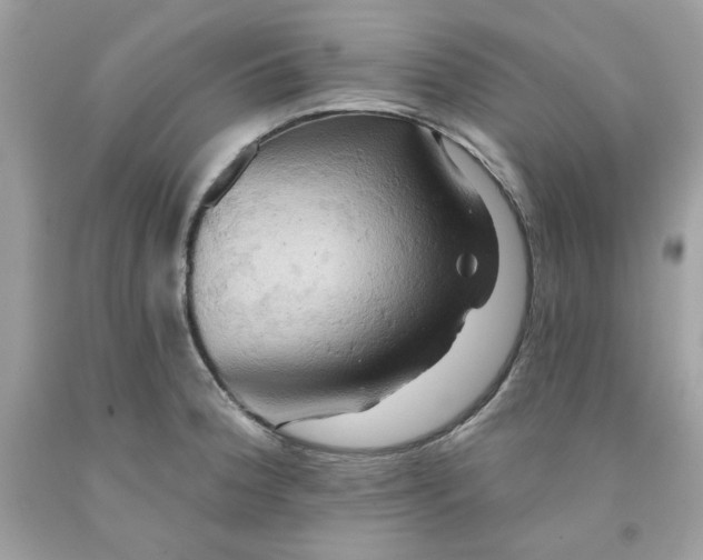 X0000091581188200709051054