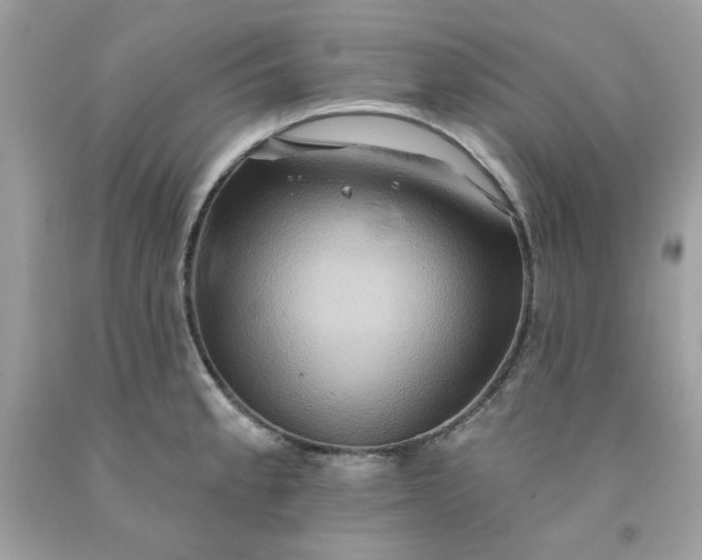 X0000091581189200709051054