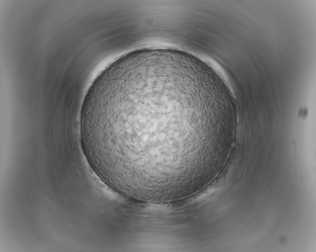 X0000091581191200709051054