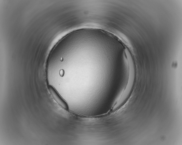 X0000091581192200709051054