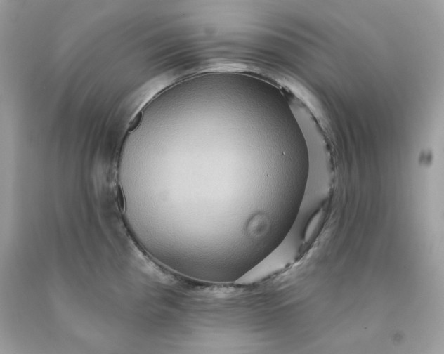 X0000091581193200709051054