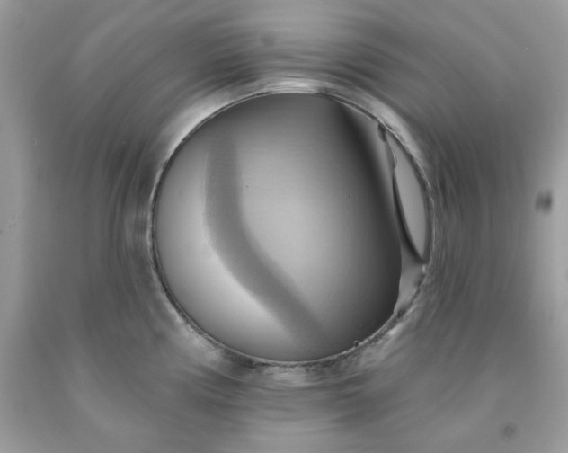 X0000091581194200709051054