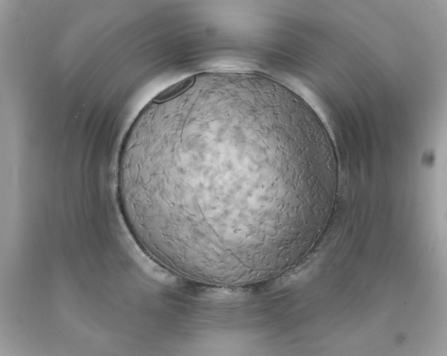 X0000091581195200709051054
