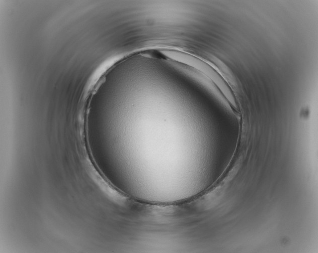 X0000091581196200709051054