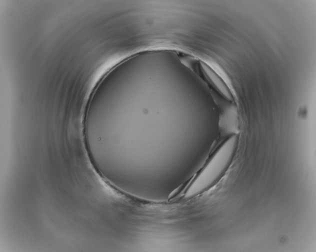 X0000091581197200709051054