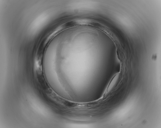 X0000091581198200709051054