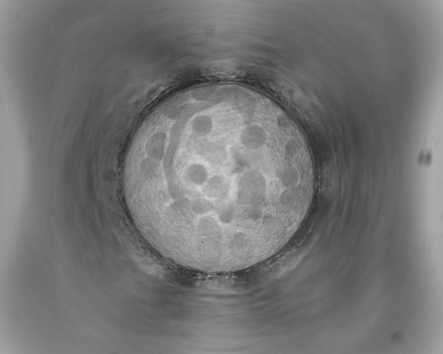X0000091581201200709051053