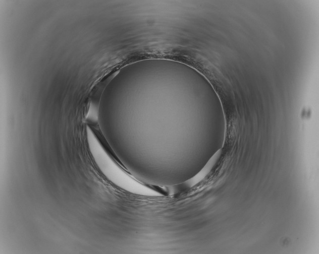 X0000091581202200709051053