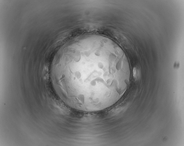 X0000091581203200709051053
