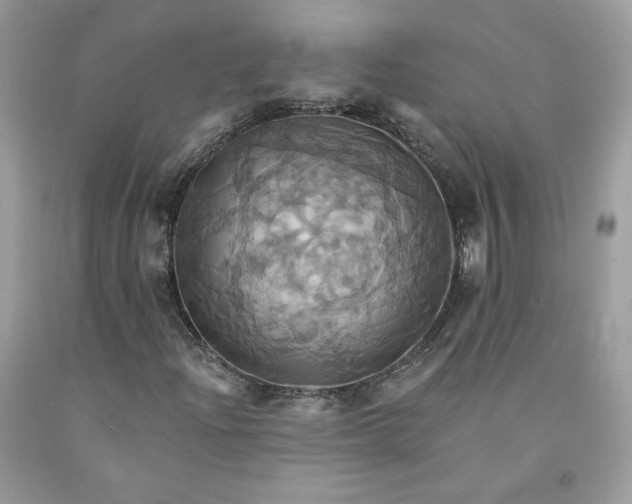X0000091581204200709051053