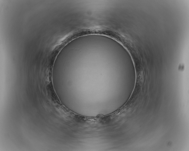 X0000091581205200709051053